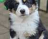 IMG-20240616-WA0043
