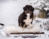 DSC_7478_Hildie_FB