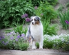 IMG-20181020-WA0001Junior