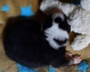 dsc_0170_00006-150x150